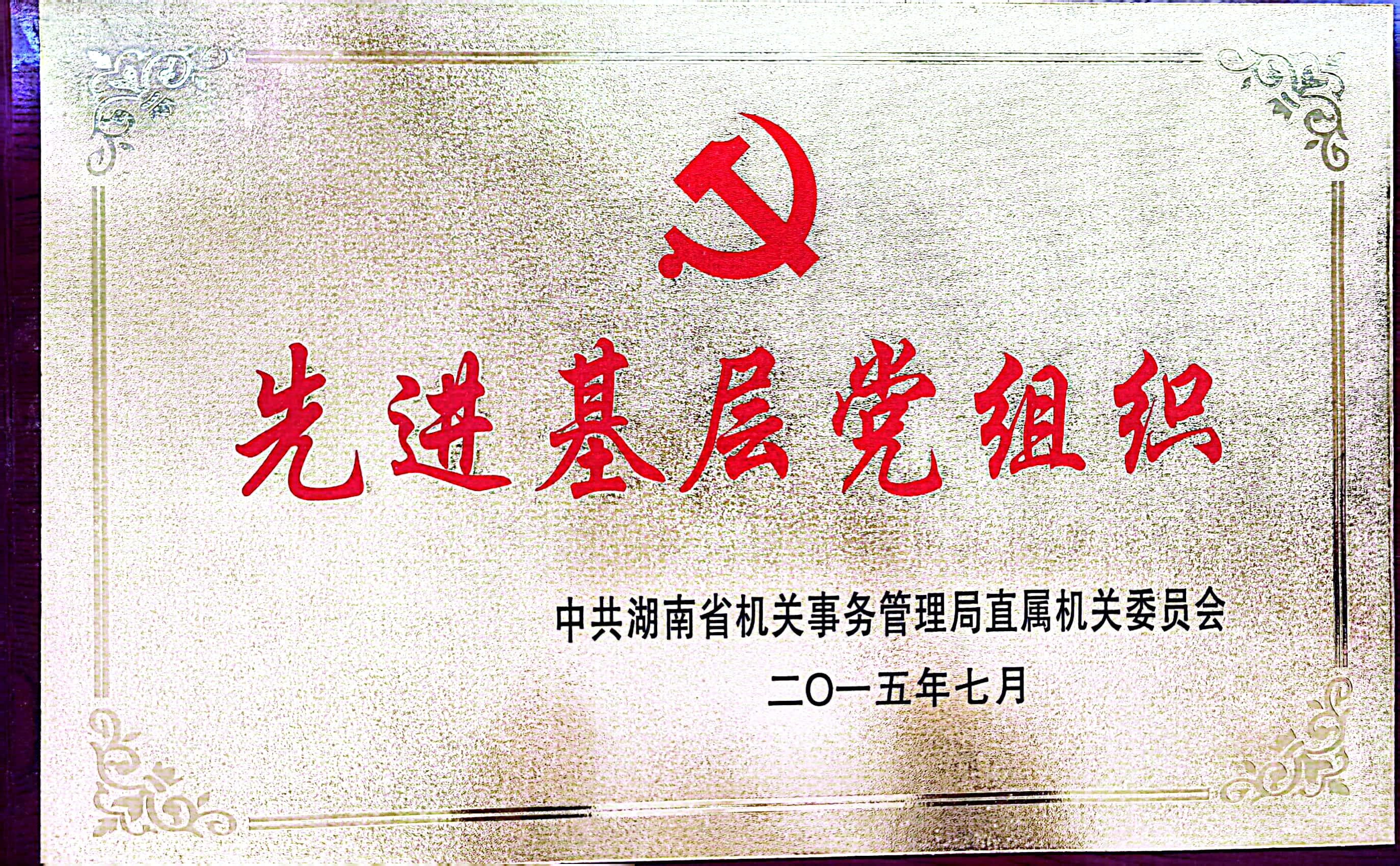 2015年度局系统先进基层党组织