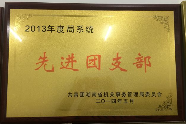 2013-局系统先进团支部
